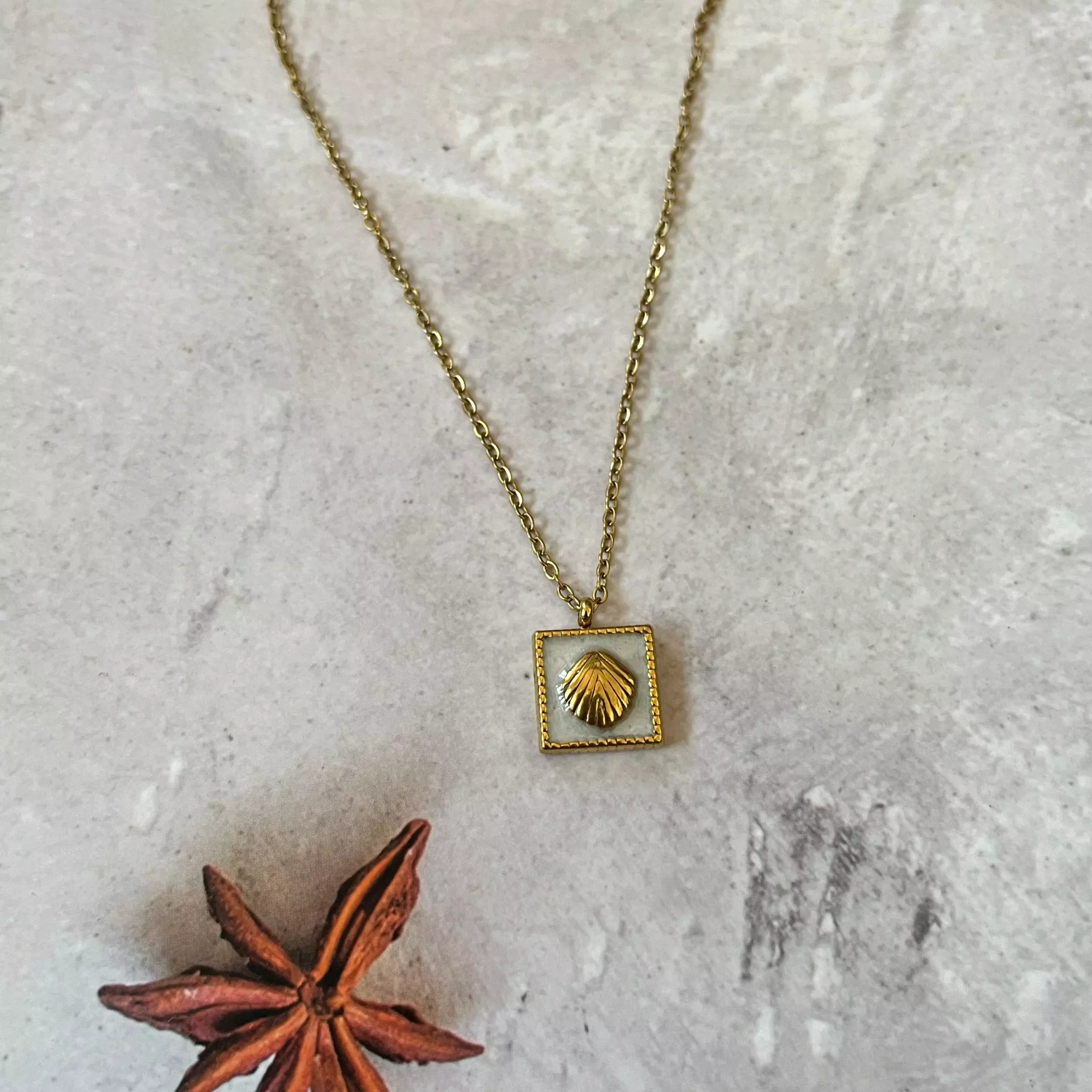 Sea Shell Box Necklace 1